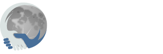 International Lunar Year Logo